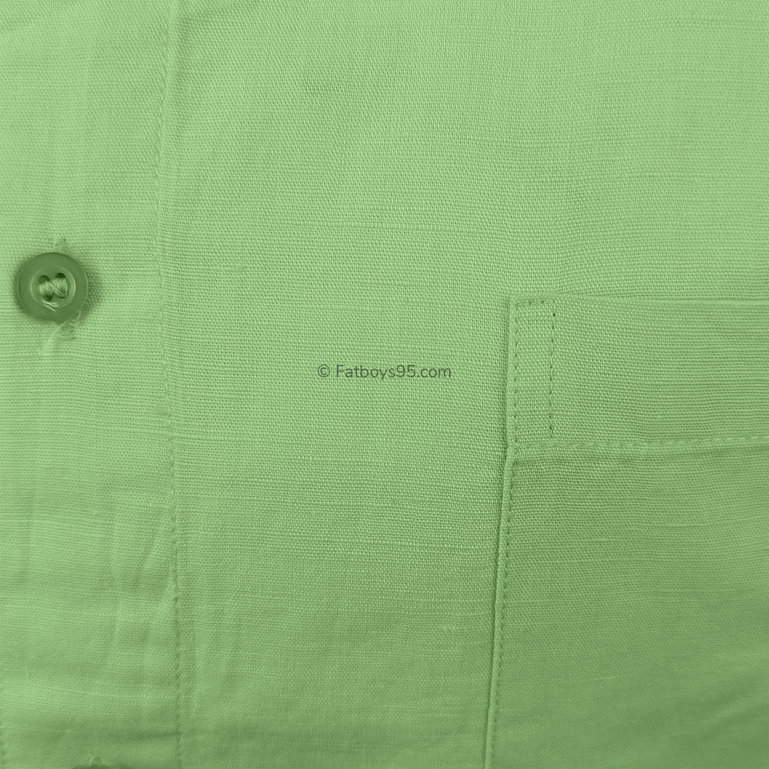 Ed Baxter Linen S/S Shirt- EB155 - Mint 2