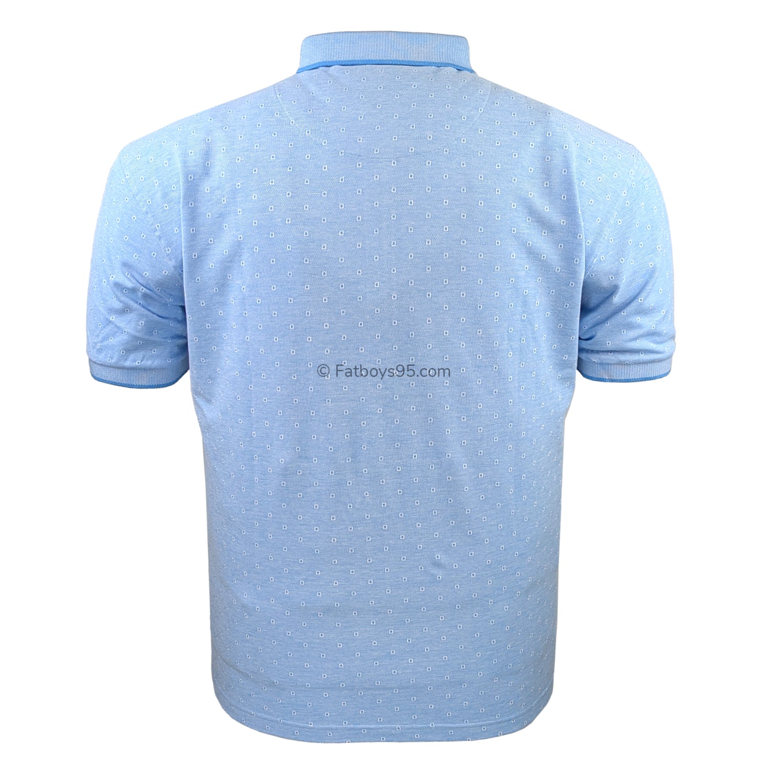 Peter Gribby Polo - PJ23112 - Sky 3