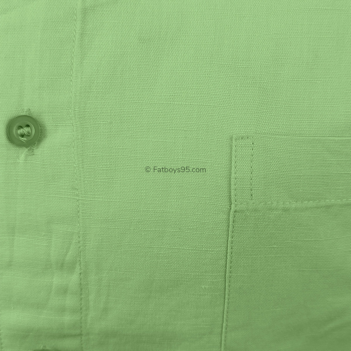 Ed Baxter Linen S/S Shirt- EB155 - Mint 2