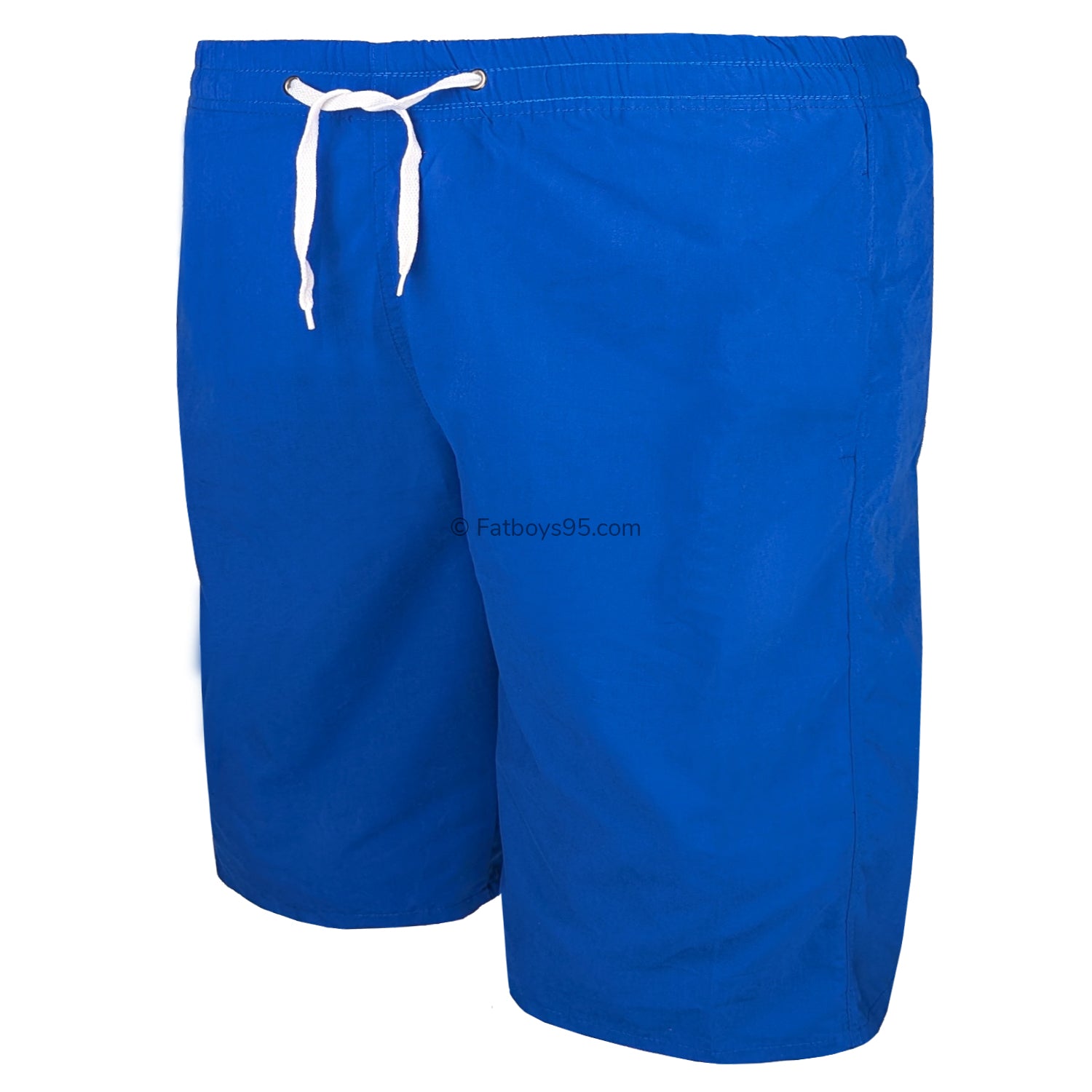 Fitzgerald Swim Shorts - Royal 2