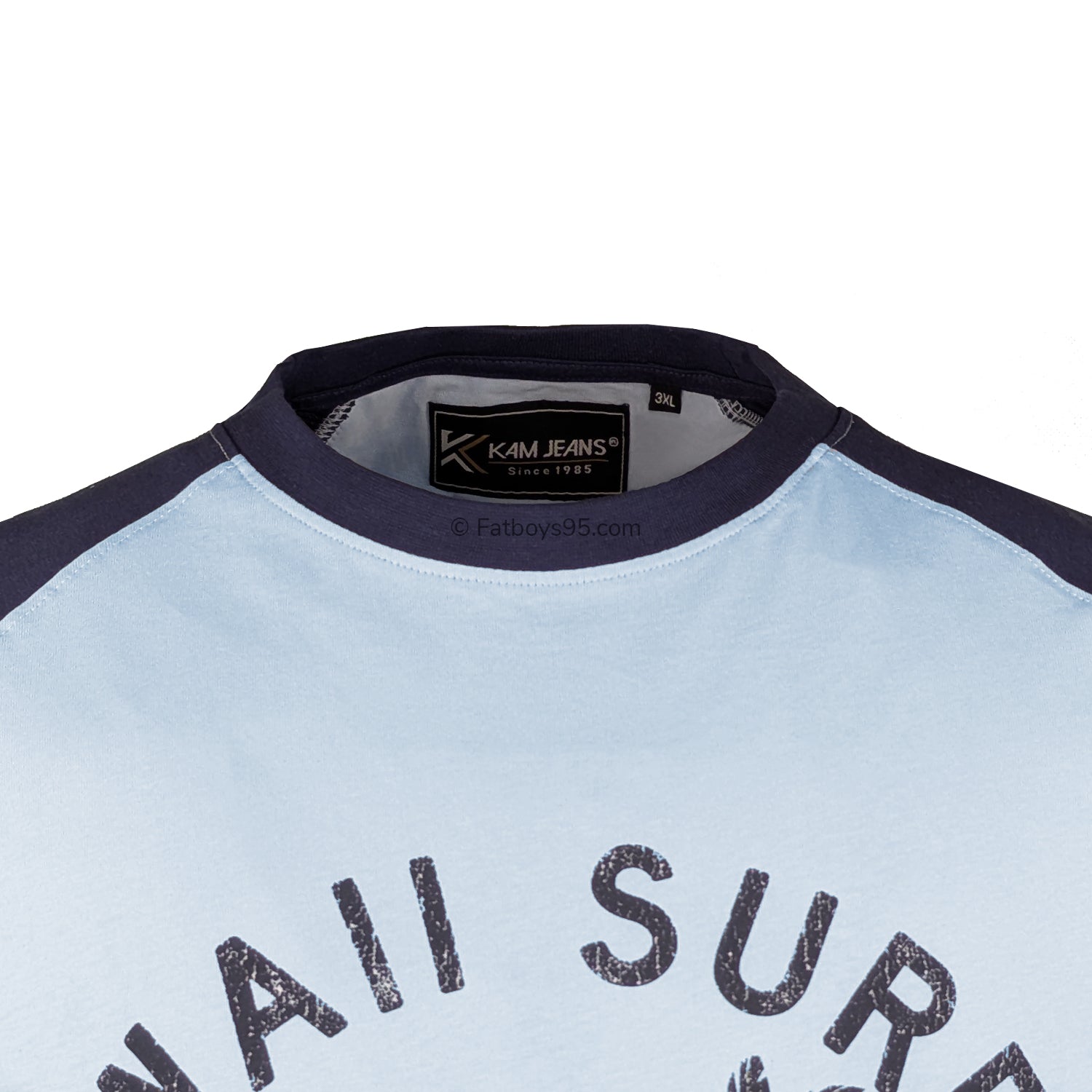 Kam Hawaii Surf Turtle Raglan Tee - KBS 5772 - Powder Blue 2