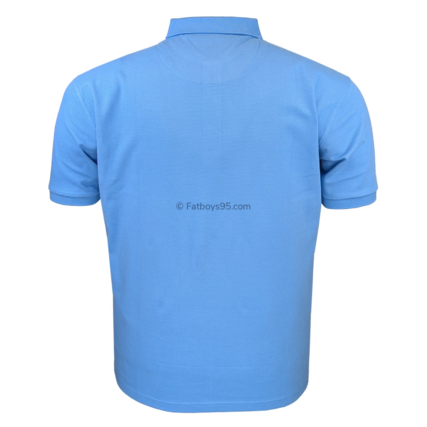 Lizard King Polo - LKS203 - Sky 3