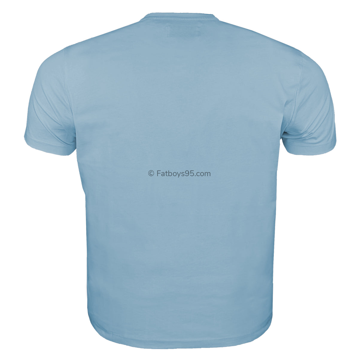 Penguin T-Shirt - OJKF2903 - Spring Lake 2