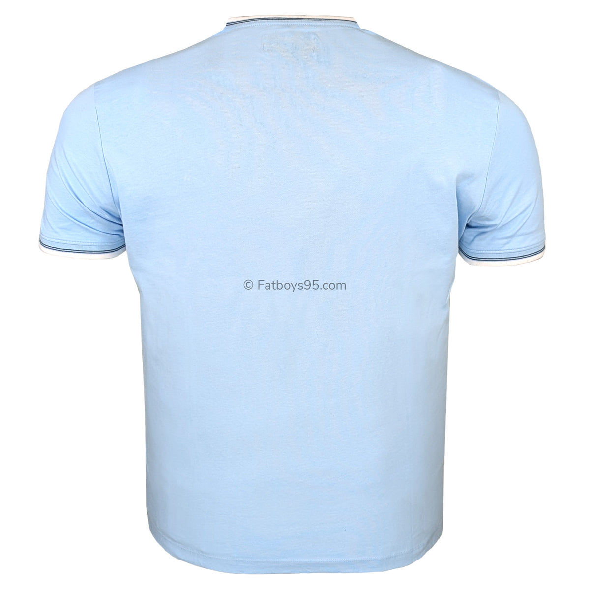 Penguin T-Shirt - OJKS3718 - Cerulean 2
