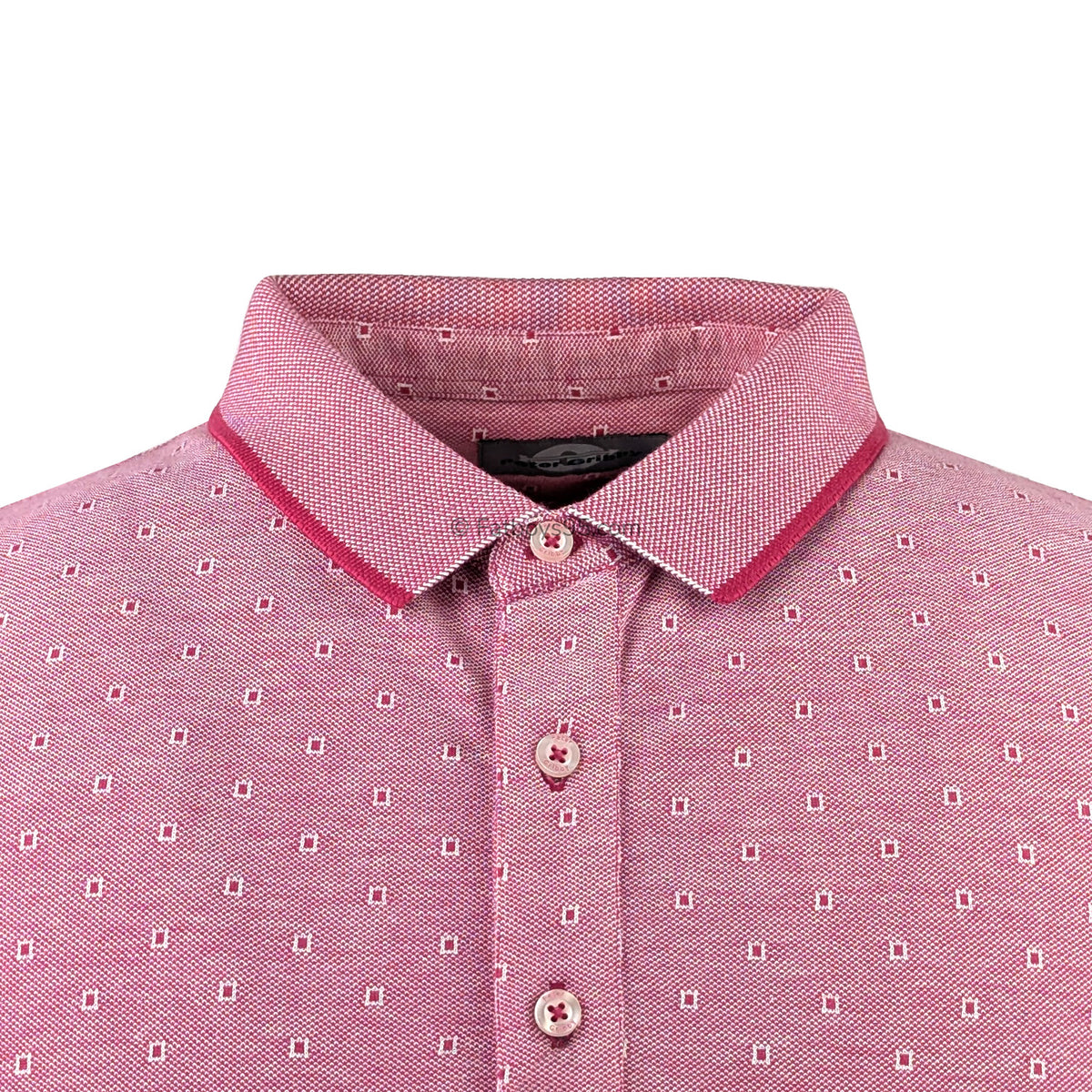 Peter Gribby Polo - PJ23112 - Brick Red 2