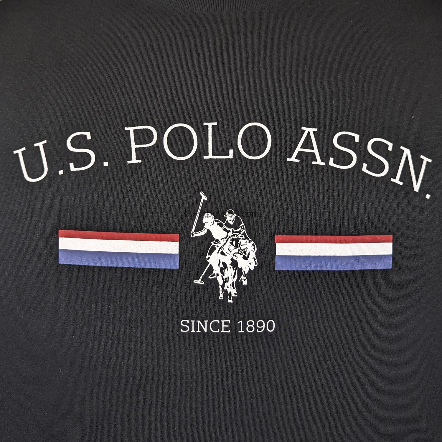 U.S. Polo Assn Stripe Rider Tee - BUP0016 - Black 2