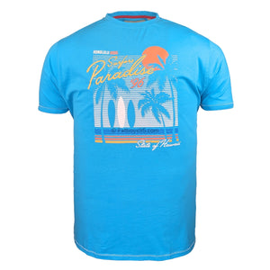 D555 T-Shirt - 601508 - Aaron - Turquoise 1