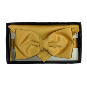 Folkespeare Bow Tie & Pocket Square Set - BK0030 - Gold 5