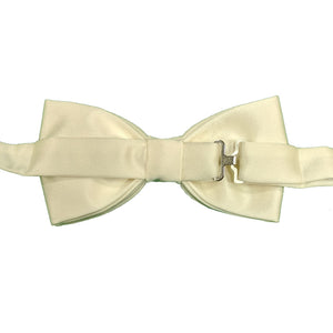 Folkespeare Bow Tie & Pocket Square Set - BK0030 - Ivory 3