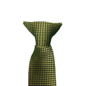 Kensington Clip-On Tie - P310632 - Green 3